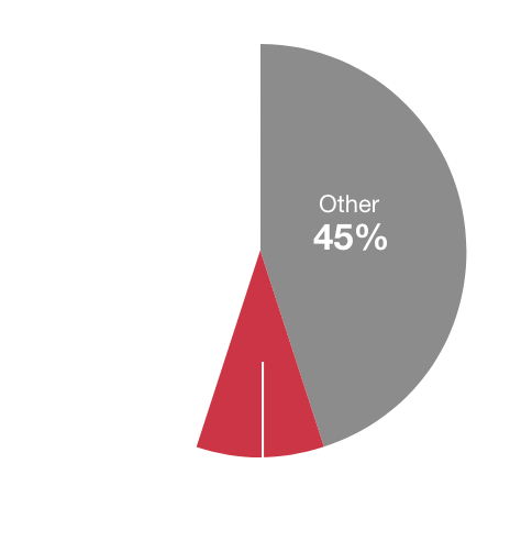 Other: 45%